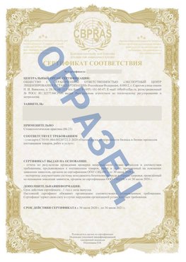 Образец Сертификат СТО 01.064.00220722.2-2020 Чусовой Сертификат СТО 01.064.00220722.2-2020 